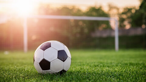 Ein Fußball liegt auf einer grünen Wiese, im Hintergrund ein Fußballtor